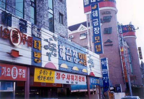 해금장 사진