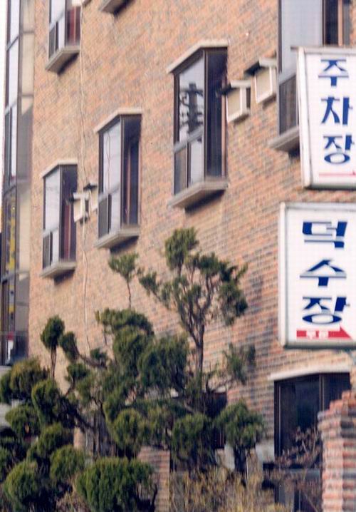 덕수장 사진