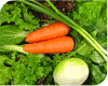 Various vegetables photo